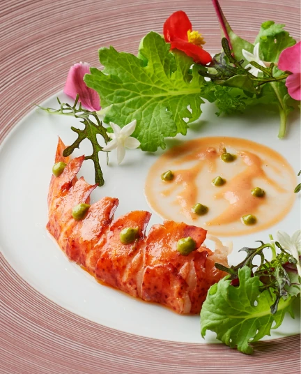 オマール海老を使用した前菜料理